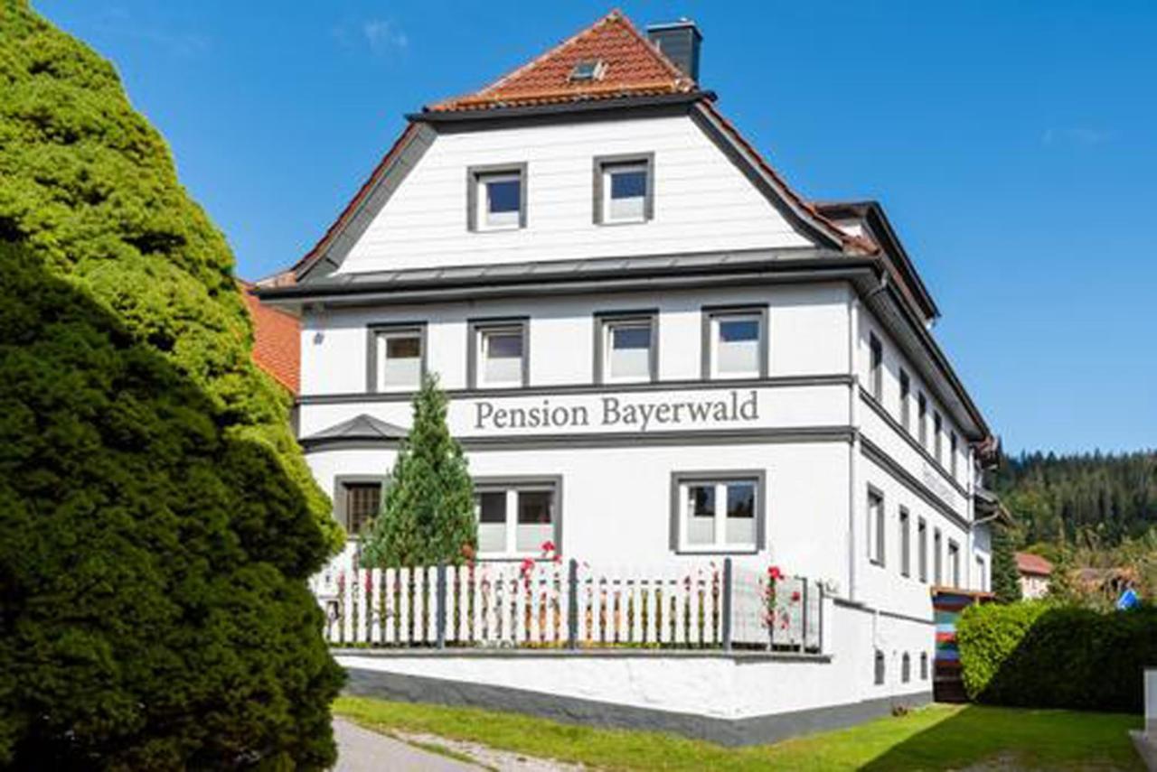 Pension Bayerwald Mit Ferienwohnung Bodenmais Exteriér fotografie